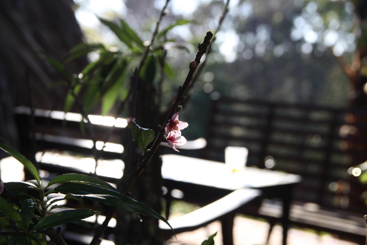L'Amant Homestay Da Lat Exterior foto