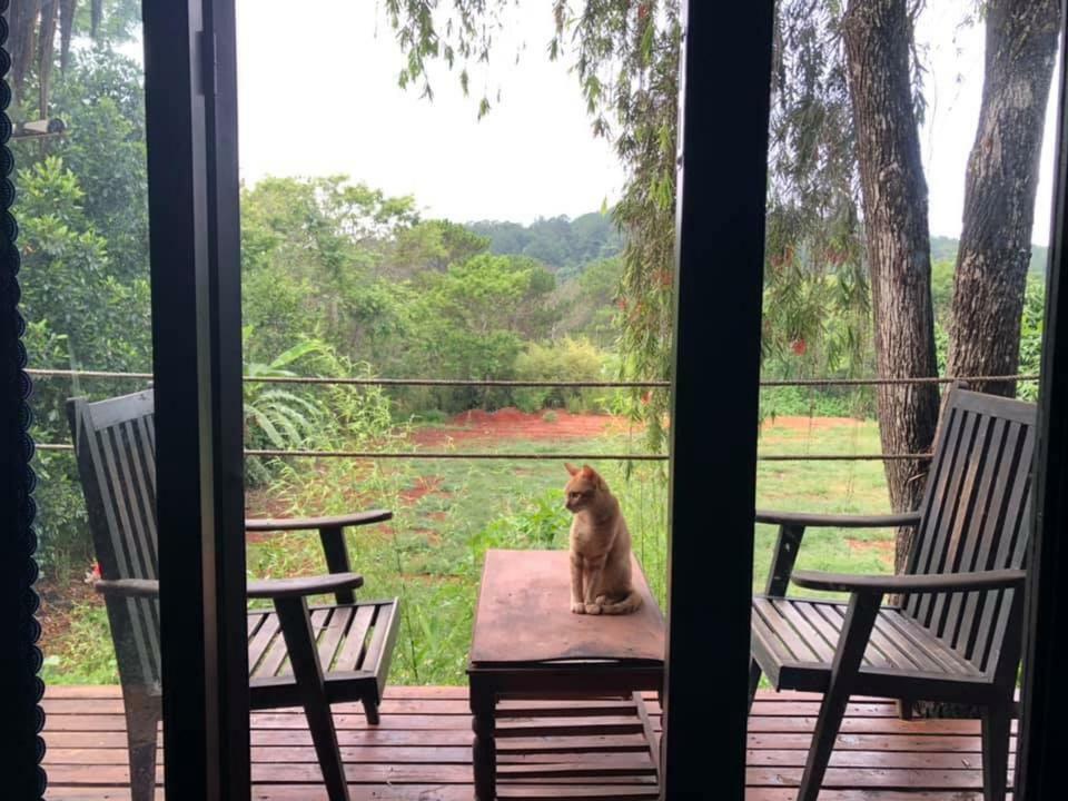 L'Amant Homestay Da Lat Exterior foto
